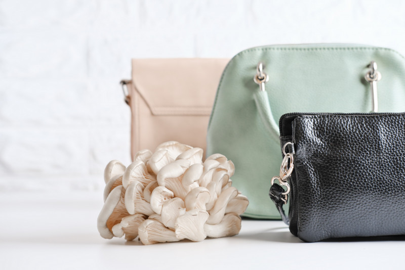 The latest on-trend alternative to animal leather comes from mushrooms