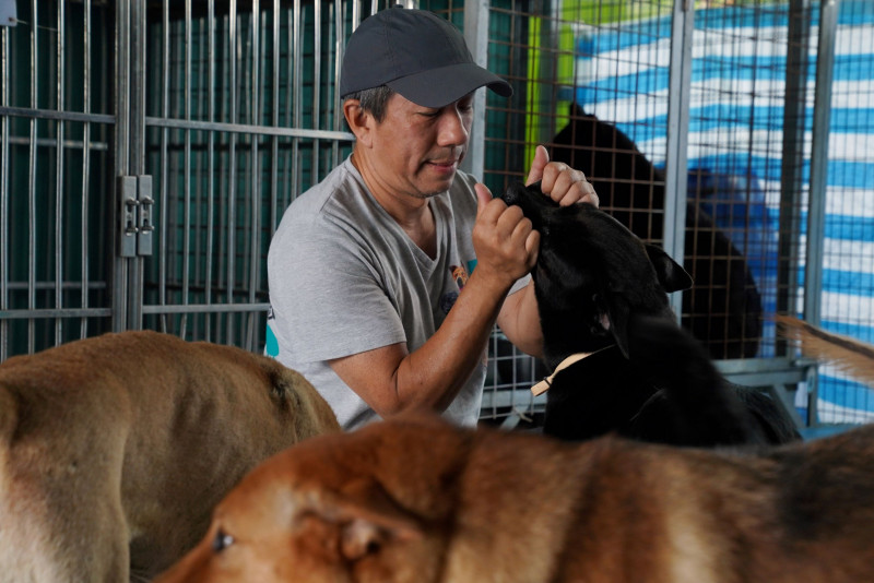 Hong Kong pet funerals aim for respectful farewell rather than landfill waste