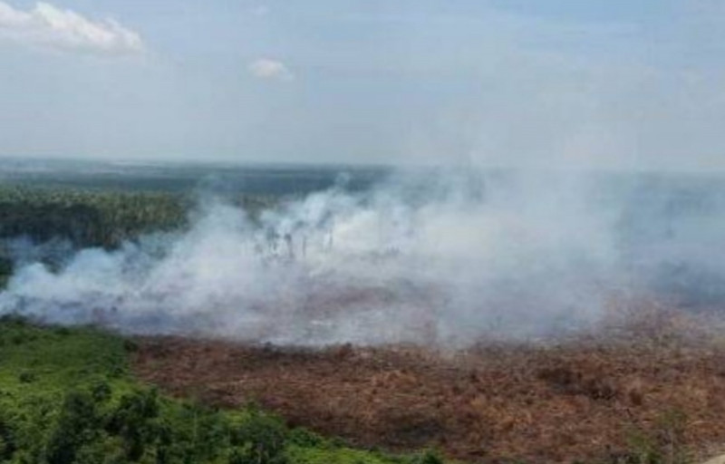 More Sarawak wildfires in Jan-July 2021 than whole of last year