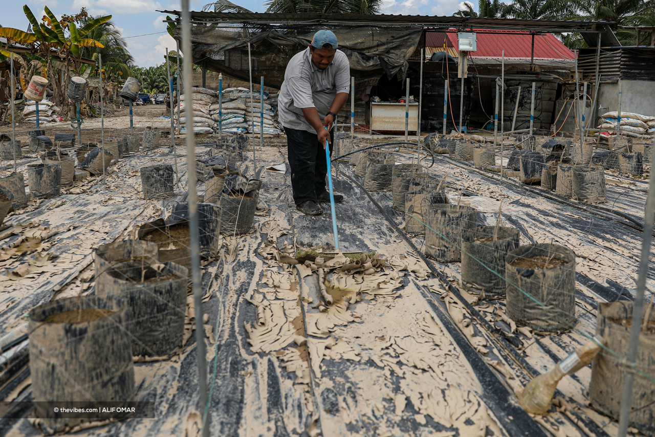 Abe Mat performing the long and arduous task of cleaning in the aftermath of the flood. – ALIF OMAR/The Vibes pic, December 30, 2021