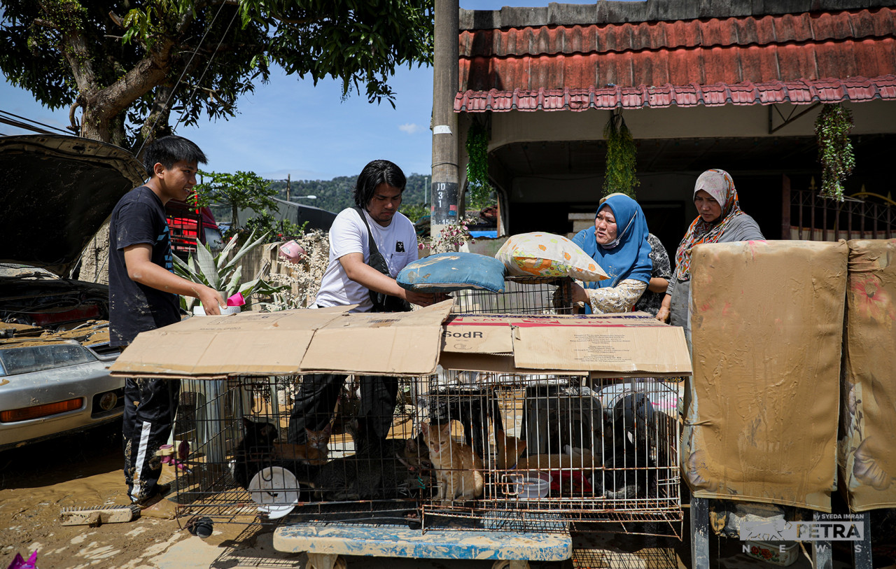 Apart from humans, pets were also victims of the floods that devastated Taman Sri Nanding. – SYEDA IMRAN/The Vibes pic, December 20, 2021
