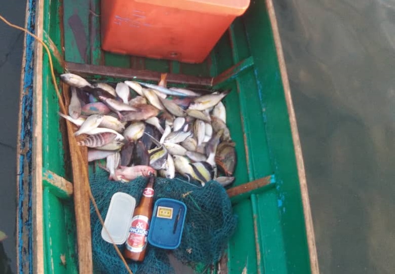 Catch from blast fishing has been found sold in Sabah markets. – JUNAIDI LADJANA/The Vibes pic, March 1, 2021