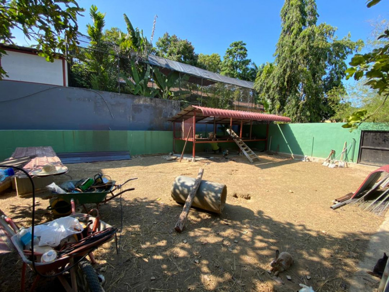 Only RM190 in donations, but Langkawi zoo keeps sunny outlook