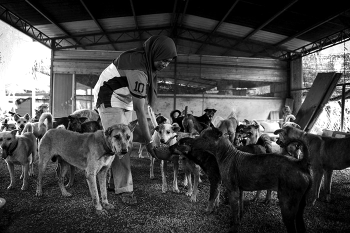 Mak Intan of Pak Mie animal shelter dies at 73