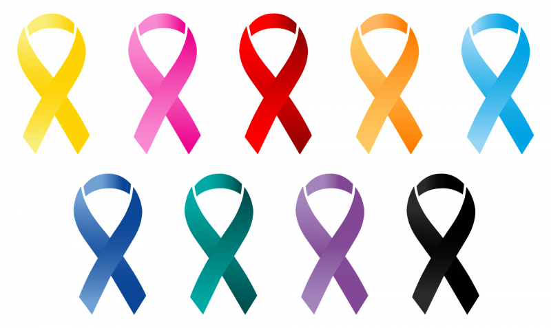 The importance of the right diet to reduce the risk of cancers