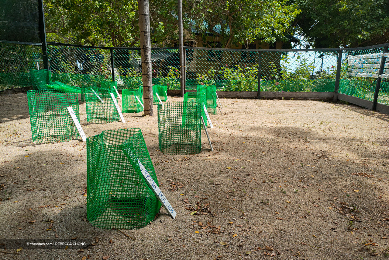 Gift Garden, the hatchery that has protected over 35,500 turtle eggs since it was set up in 2013. – The Vibes pic  