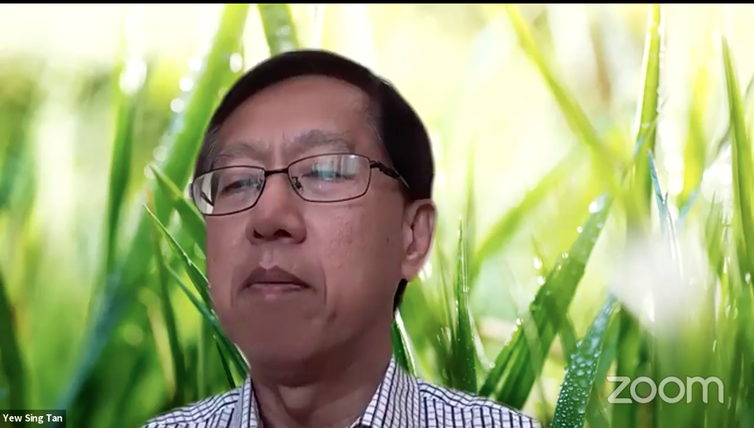 Gabungan Bertindak Malaysia’s Datuk Tan Yew Sing warns Putrajaya against underestimating the consequences of the twin health and economic crises. – Screen grab, July 19, 2021