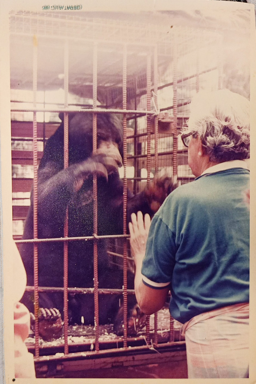 Jiro and Harun when the bear was moved to the zoo. – Facebook pic