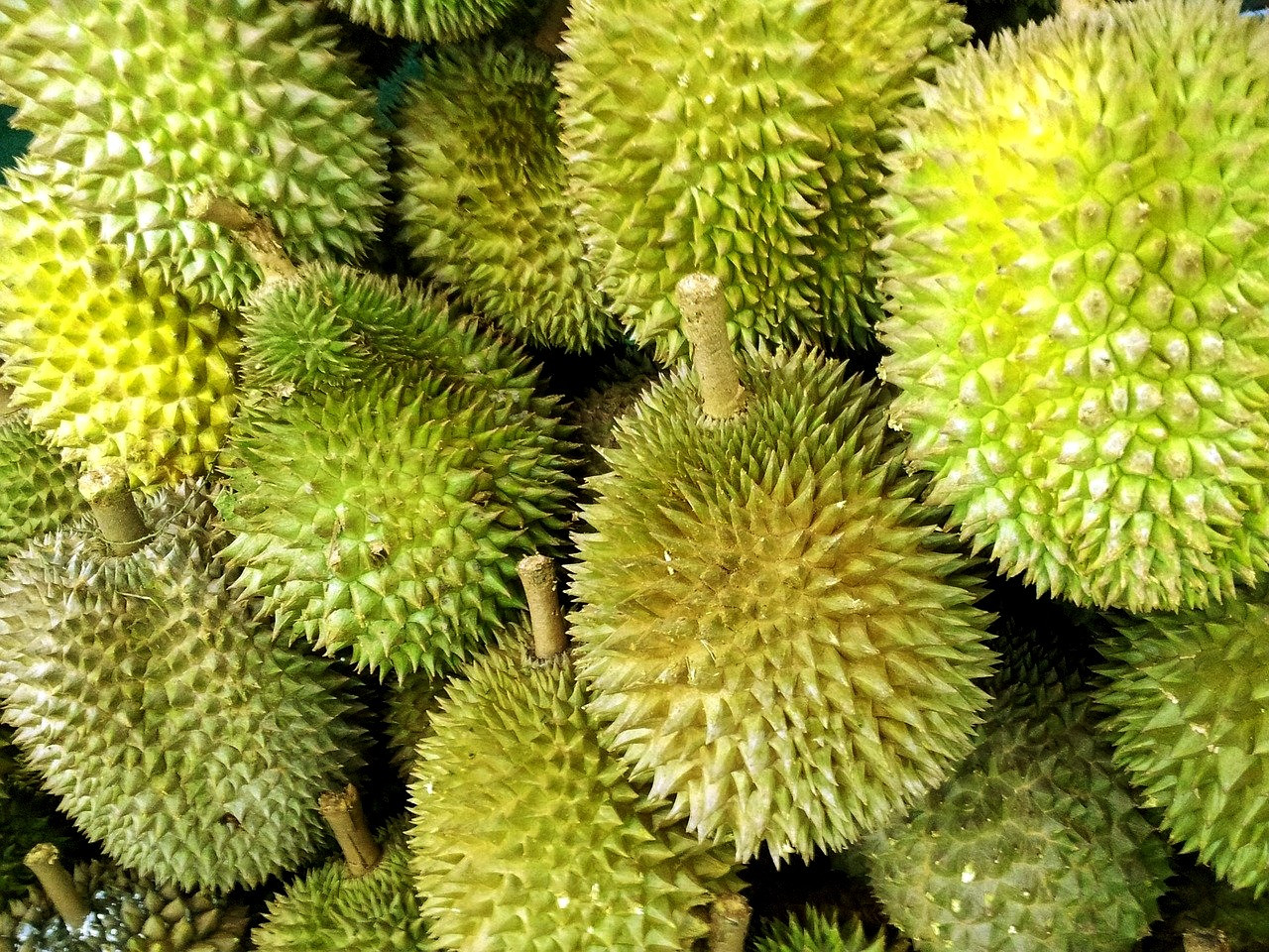 Shopee collaborates with Fama for the second time to empower legitimate durian farmers and sellers via a Durian e-Fiesta campaign, ensuring the supply and demand is not cut off during the pandemic. – Pixabay pic