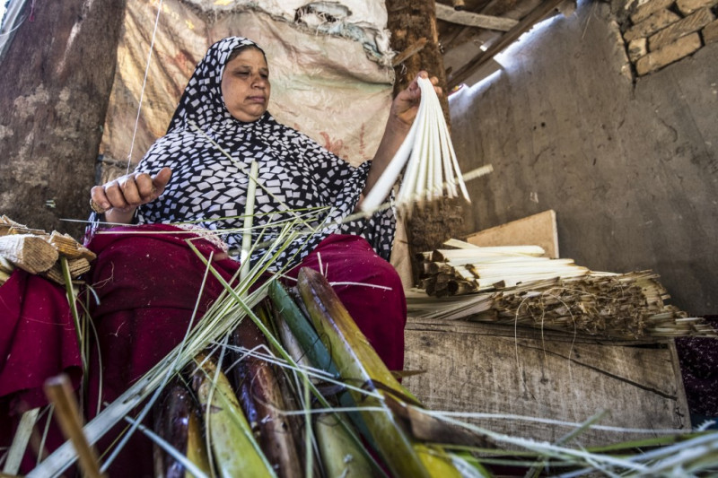 Egypt papyrus makers keep tradition alive despite tourism slump