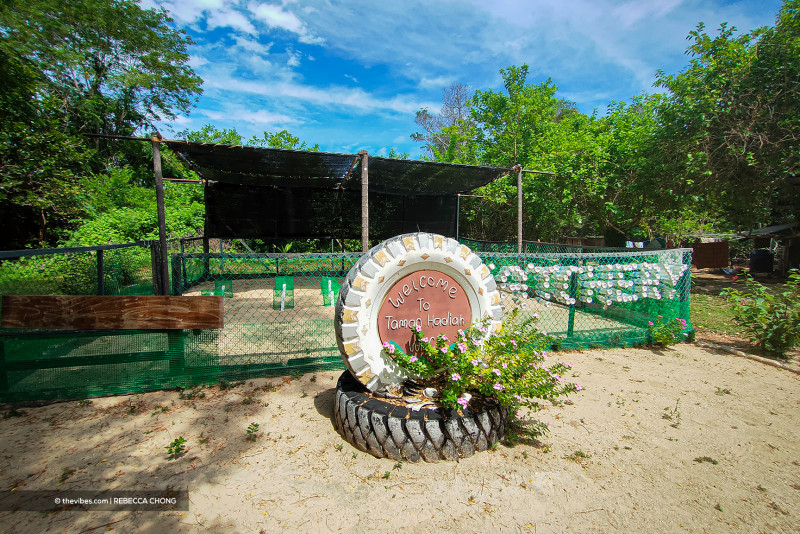 How ‘turtle man’ changed Kg Pulau Libaran