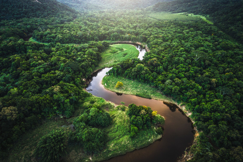 Indigenous leaders arrive ahead of COP30 to demand greater control over Amazon territories