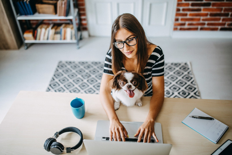 Post-pandemic separation from owners is a dog's life