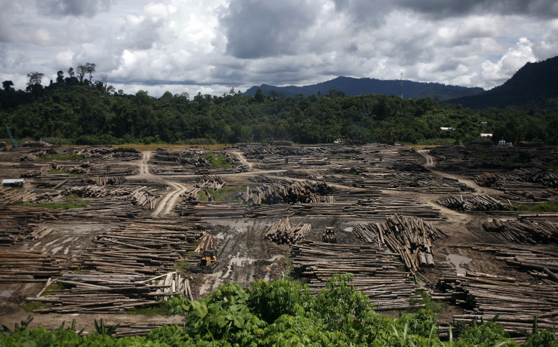 S’wak’s bid to tap into Indonesia’s new capital may spell environmental disaster: activist
