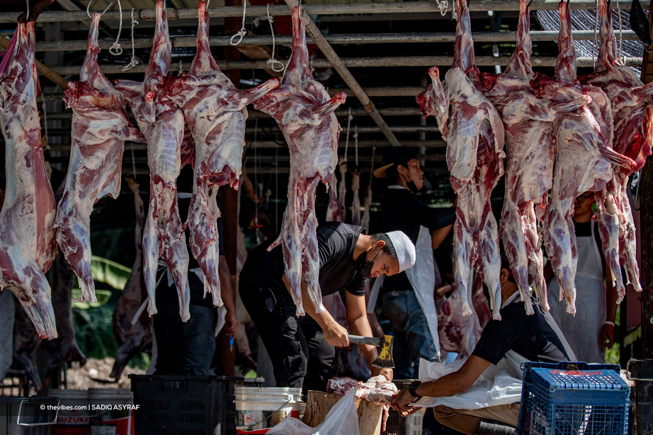 Goats are also among the animals that can be slaughtered for sacrificial ceremonies, and some even slaughter camels. – SADIQ ASYRAF/The Vibes pic, July 20, 2021