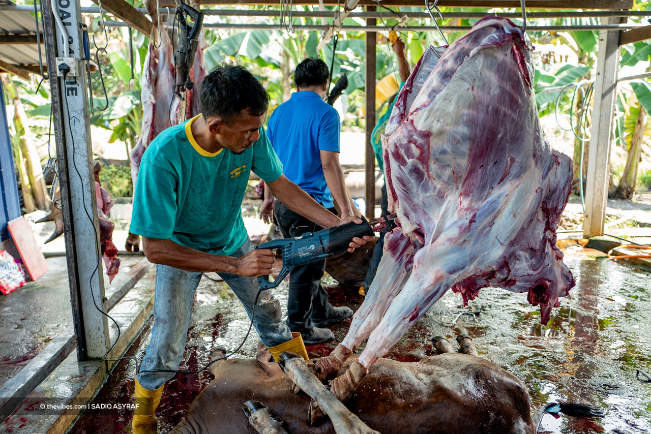 Butchering carcasses using machines speeds up the distribution of meat to those in need. – SADIQ ASYRAF/The Vibes pic, July 20, 2021