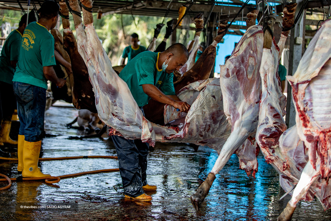 Because only livestock farms and slaughterhouses are allowed to hold sacrificial events, the number of cows and goats slaughtered has increased. – SADIQ ASYRAF/The Vibes pic, July 20, 2021