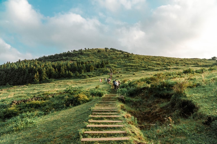Hallasan National Park on Jeju Island in South Korea. – Pic courtesy of Agoda