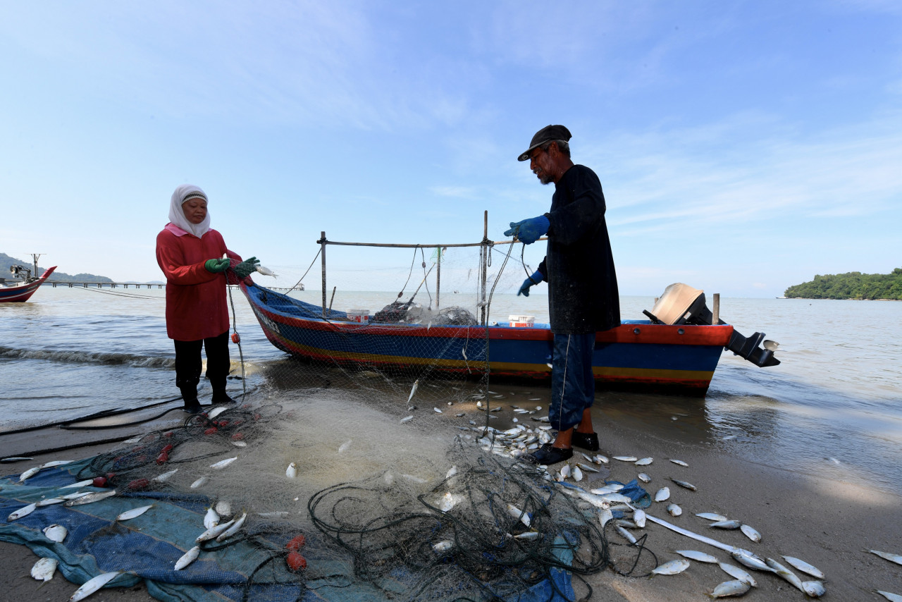 Crops, fisheries, livestock, padi, rubber and fishermen are among foci in Sabah Budget 2022 so the state can increase its self-sufficiency through modernisation initiatives. – The Vibes file pic, December 4, 2021