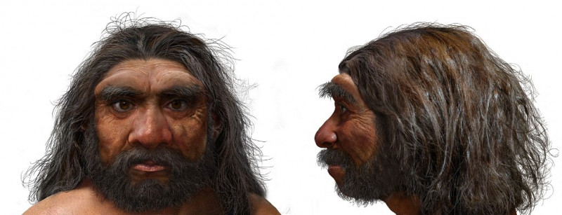 'Dragon Man': scientists say new human species is our closest ancestor