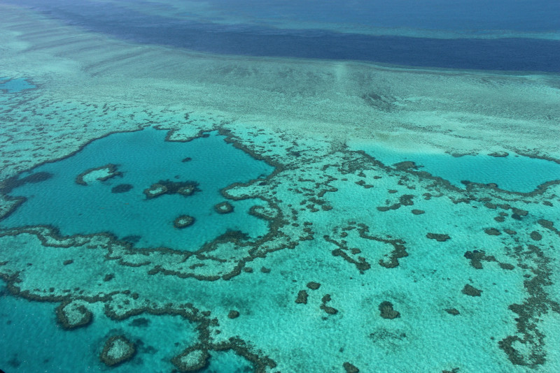 From bleached corals to overtourism: UN World Heritage sites in danger