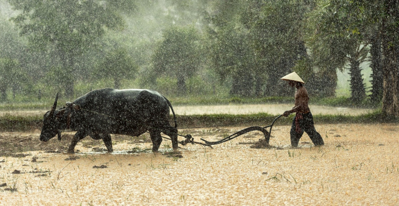 Food security webinar: resilience in the face of uncertainty
