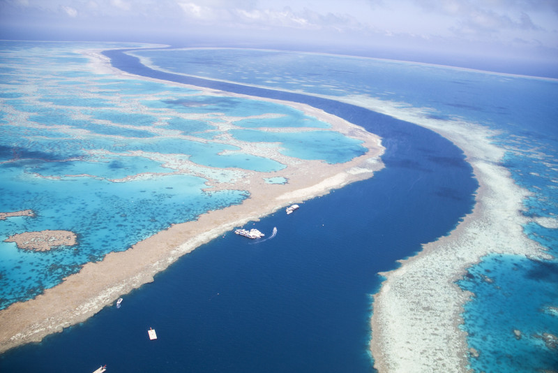 The Great Barrier Reef: A heritage site in danger, according to Unesco