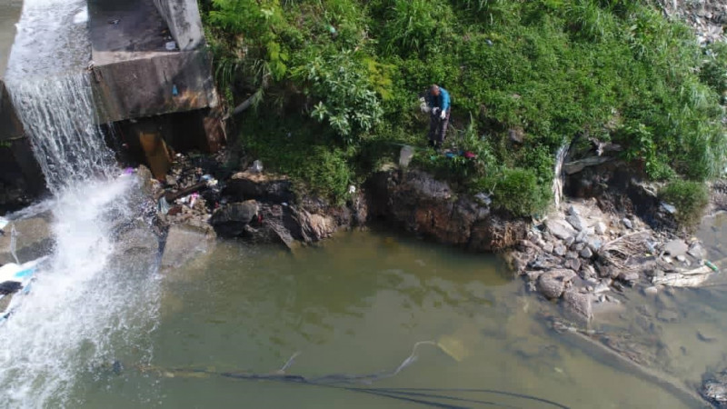 Sg Damansara samples sent for analysis after thousands of fish deaths reported