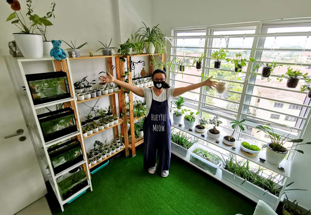 Huey Yee's greenroom is filled with mostly blooming aloe vera plants. - Pic courtesy of Huey Yee