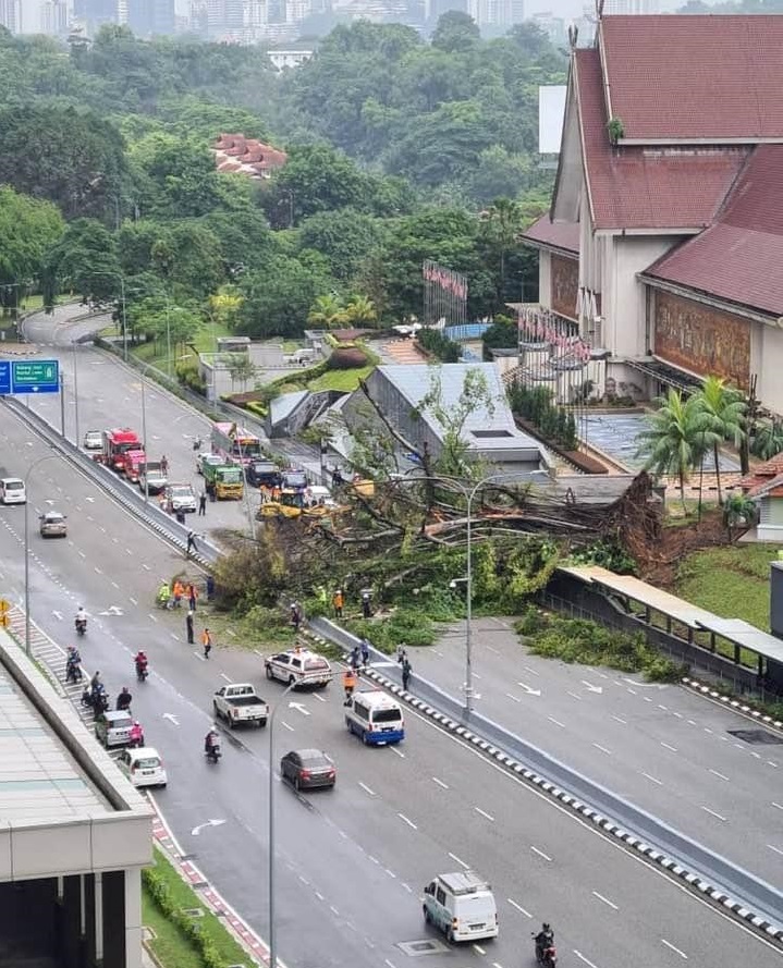 A fallen tree blocks the road near the National Museum. – Social media pic, May 27, 2021