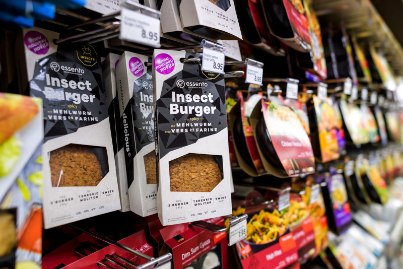 Bugging out: EU approves beetle larvae as food