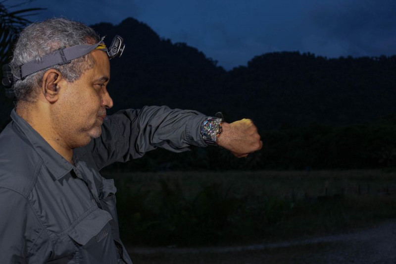 Lost and found Bornean toad ‘hops’ on to scientist’s watch