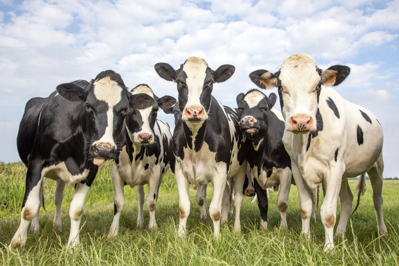Reducing methane emissions may be most effective measure against global warming