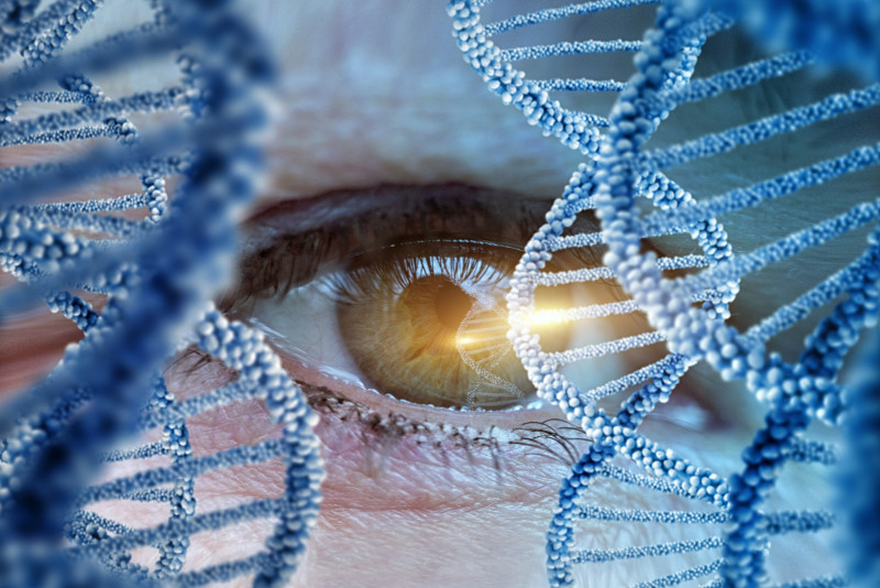 Scientists restore partial sight in blind man