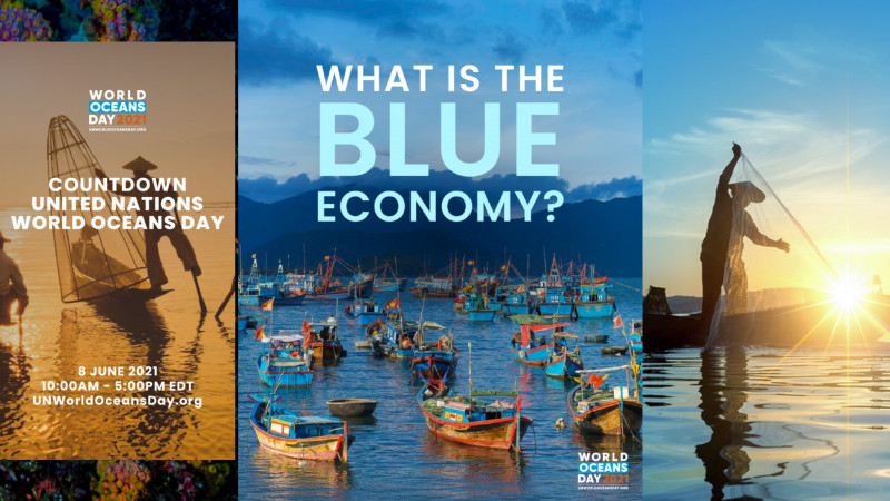 Countdown to ‘The Ocean: Life and Livelihoods’, a global event celebrating our blue planet