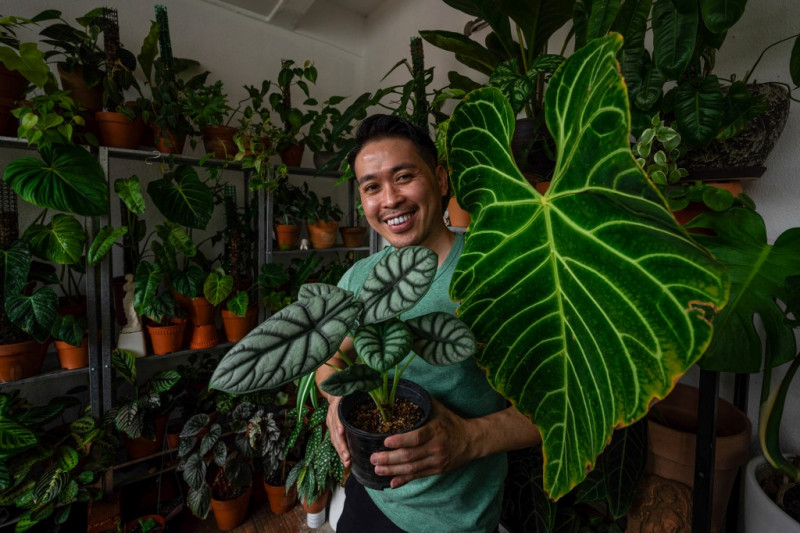 Bloom boom: Malaysians get passionate about pot plants