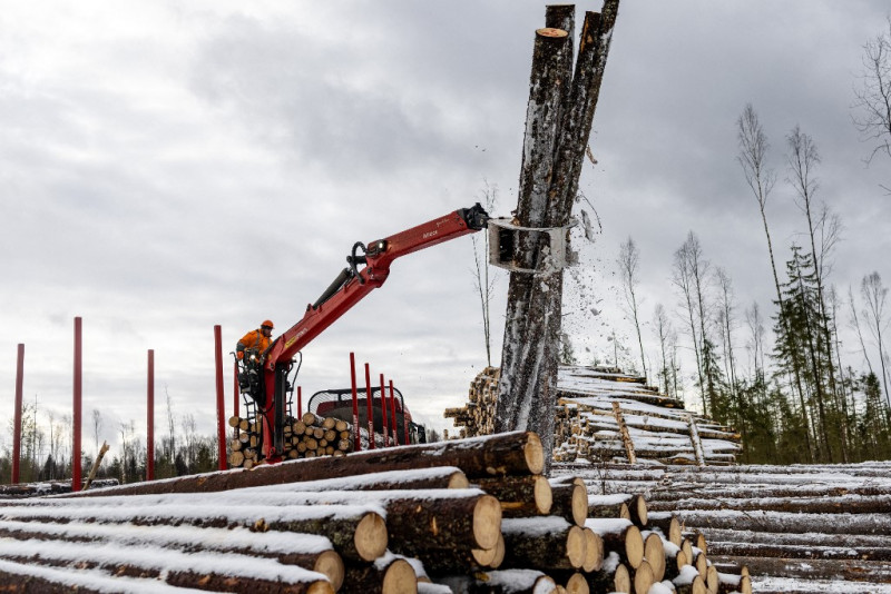 Russia, an oil giant, goes big on timber