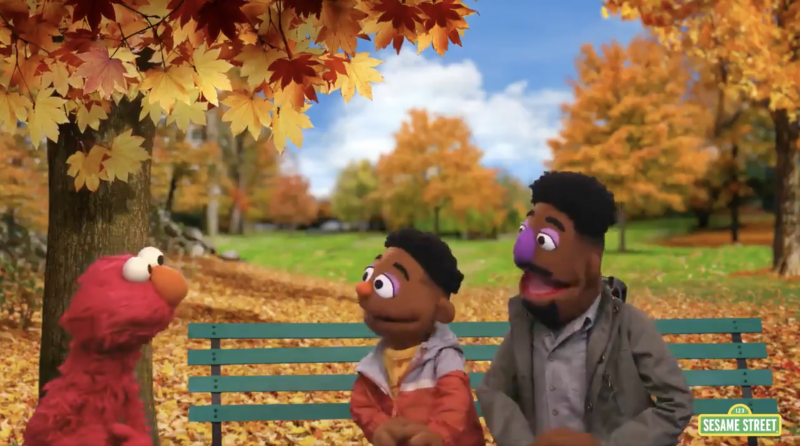 ‘Sesame Street’ introduces new muppets in videos on race