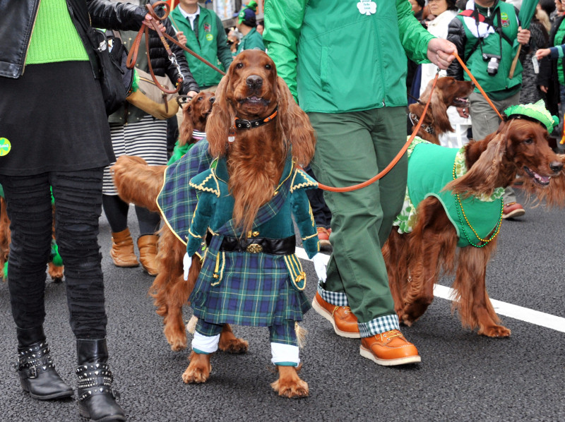 St. Patrick’s Day: An Irish twist