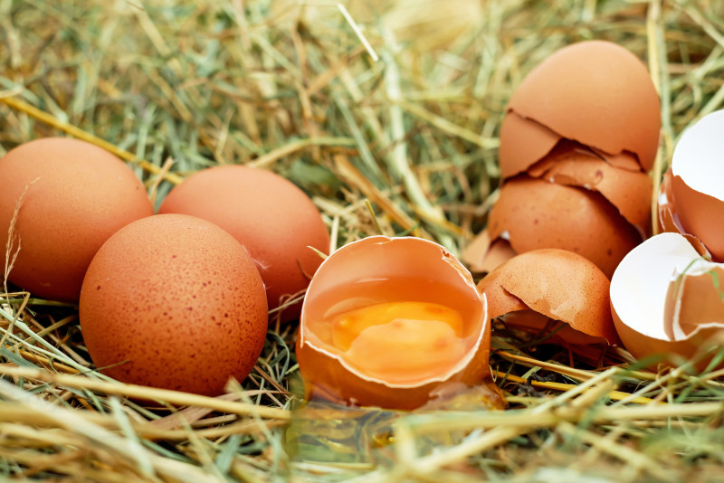 Unpredictable weather behind chicken egg shortage: deputy minister