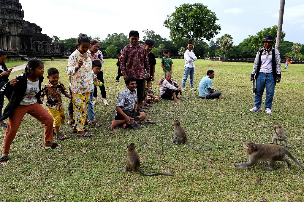 This picture taken on July 5, shows tourists looking at macaque monkeys at the Angkor Wat temple complex, a Unesco World Heritage Site, in Siem Reap province. – AFP pic