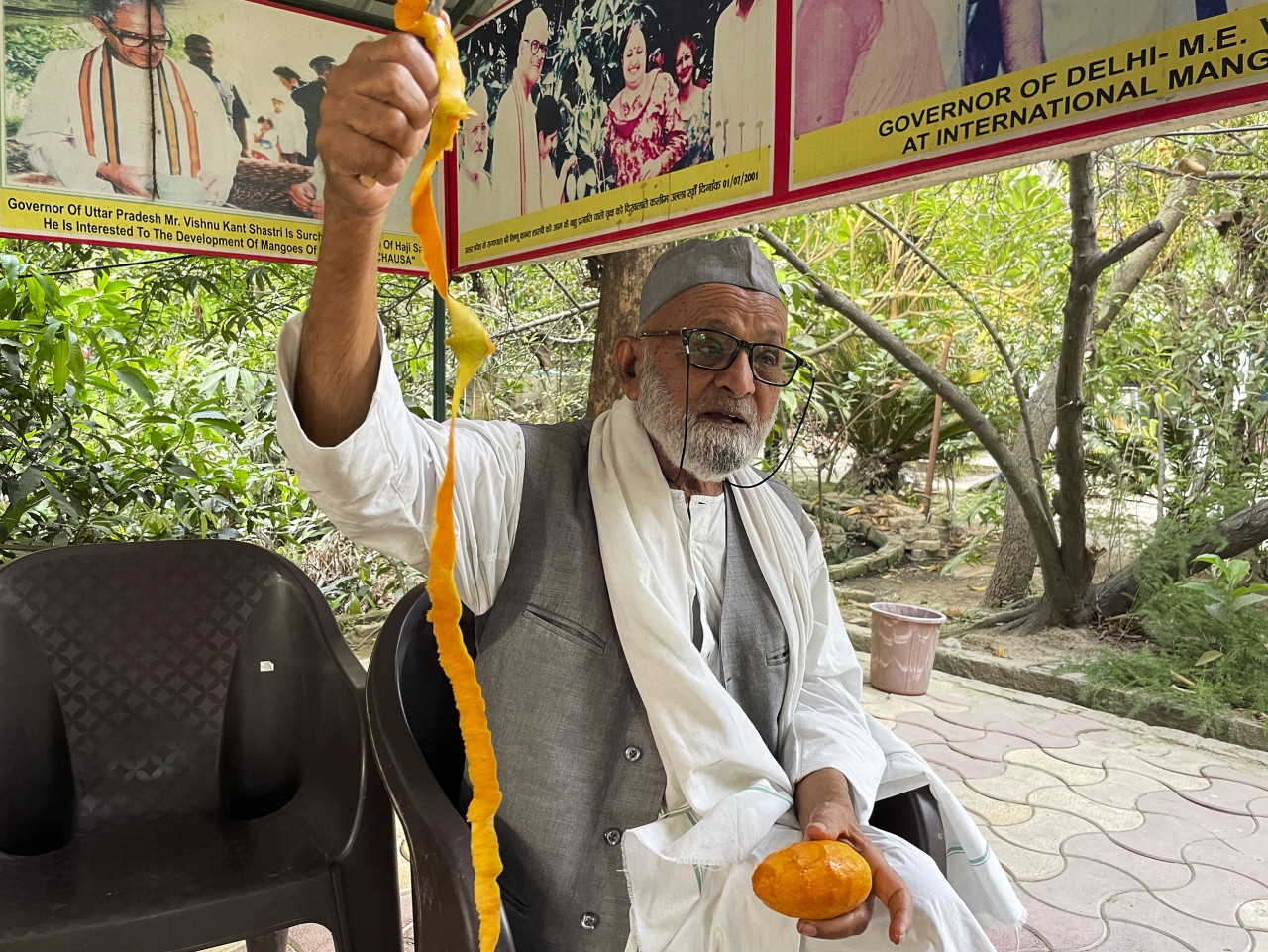 Kaleem Ullah Khan, locally known as the ‘Mango Man', peels a mango at his orchard in Malihabad.