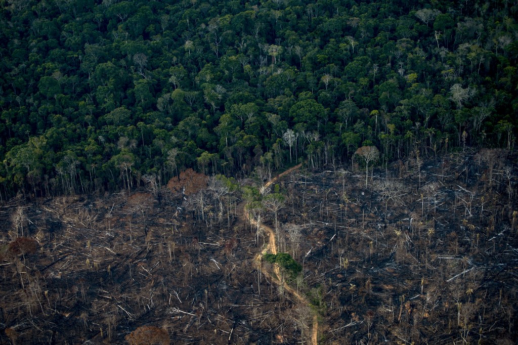 Aerial view show a deforested area of Amazonia rainforest in Labrea, Amazonas state, Brazil, on September 15. – AFP pic