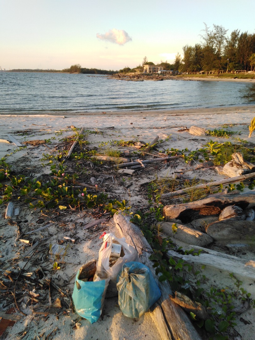 Adeline finds comfort in being with nature and often does beach clean ups on her own. – Pic courtesy of Adeline
