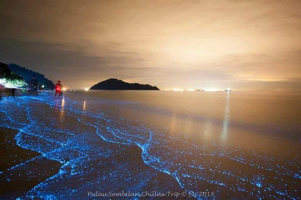Rumbia Island beach, one of Pulau Sembilan islands where bioluminescent phytoplankton are commonly visible along the shoreline. – Picture taken from Aliff Channel Facebook page