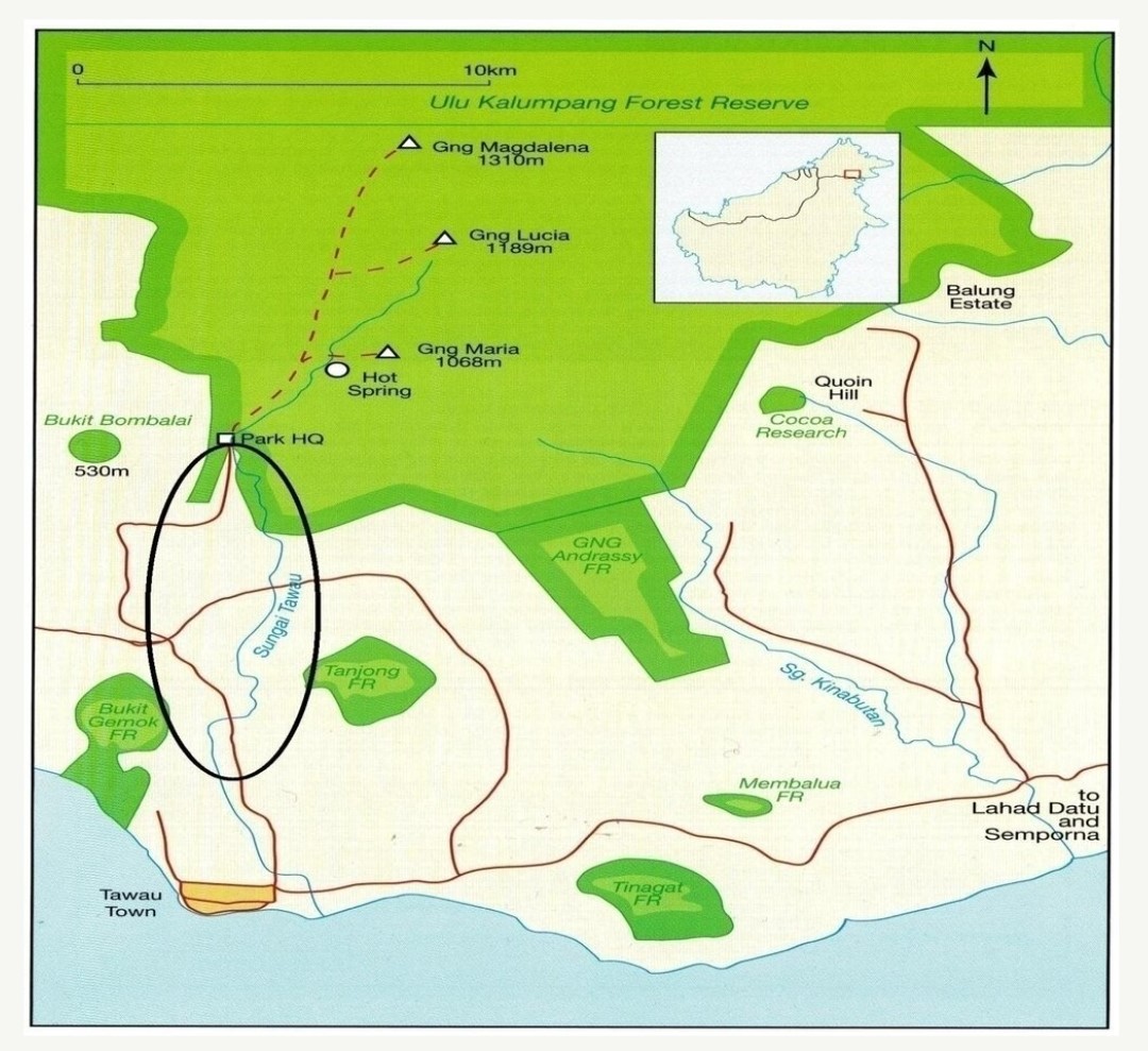The planned Plant4Tawau Fig Garden (circle) will connect Bukit Gemok (bottom left) to the Tawau Hills Park (Park HQ). – Pics courtesy of 1StopBorneo Wildlife