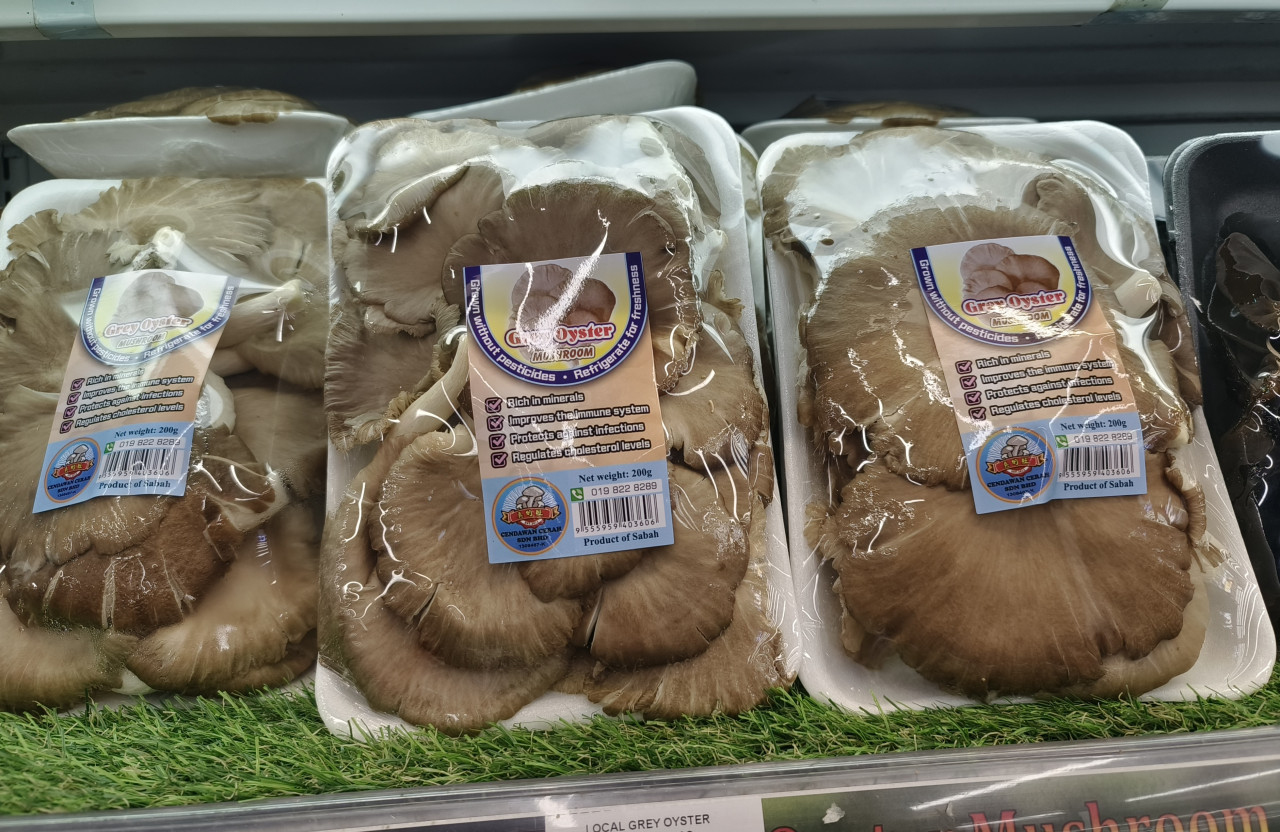 Soon’s company, Cendawan Cerah Sdn Bhd now produces about 900 kg of grey oyster mushrooms each month. – Pic by Rebecca Chong
