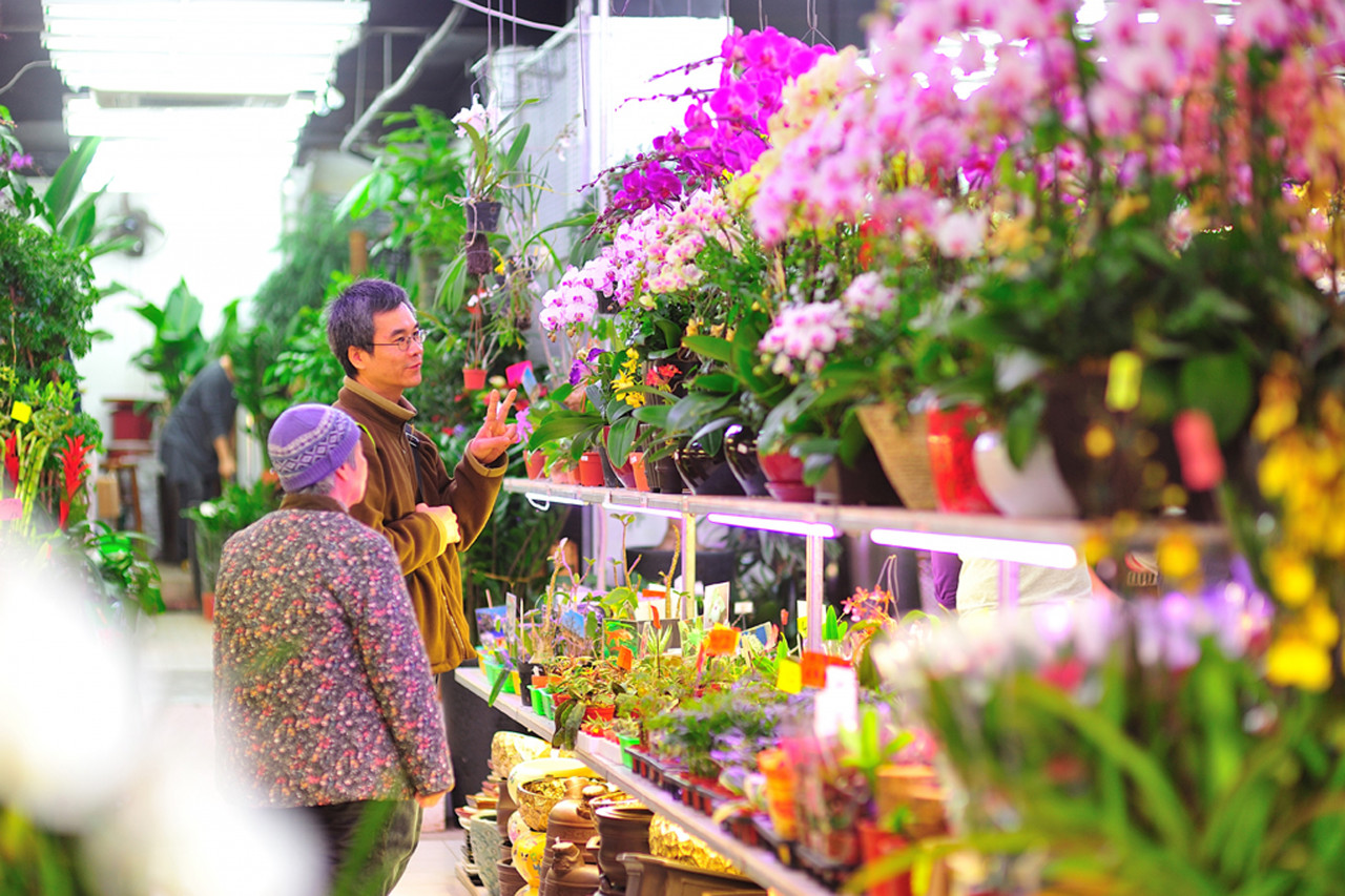 Chinese New Year Flower Market. – Pic courtesy of Hong Kong Tourism Board