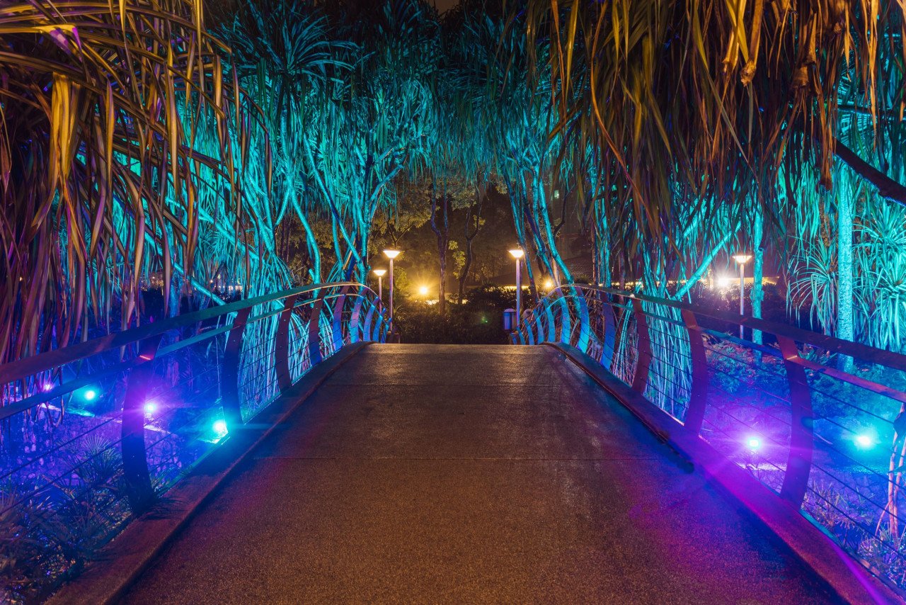 The Bridge of Hope. – Pic courtesy of ParkCity