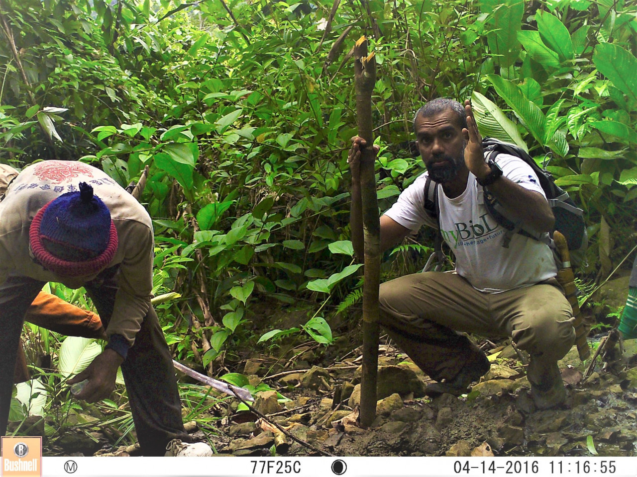 Assoc Prof Mohd Azlan Jayasilan (R) with a team member preparing to install a camera trap in the jungles of Baram. – Pic by Assoc Prof Mohd Azlan Jayasilan
